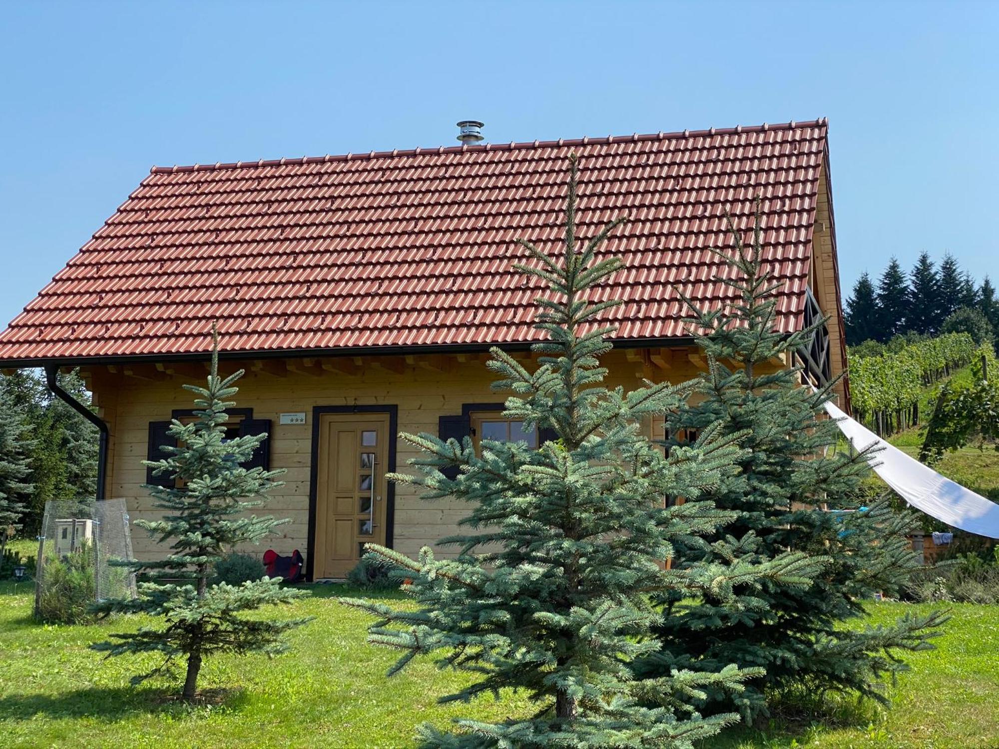 Loghouse Brunka - Escape From Life On A Highway Villa Gornja Radgona Bagian luar foto